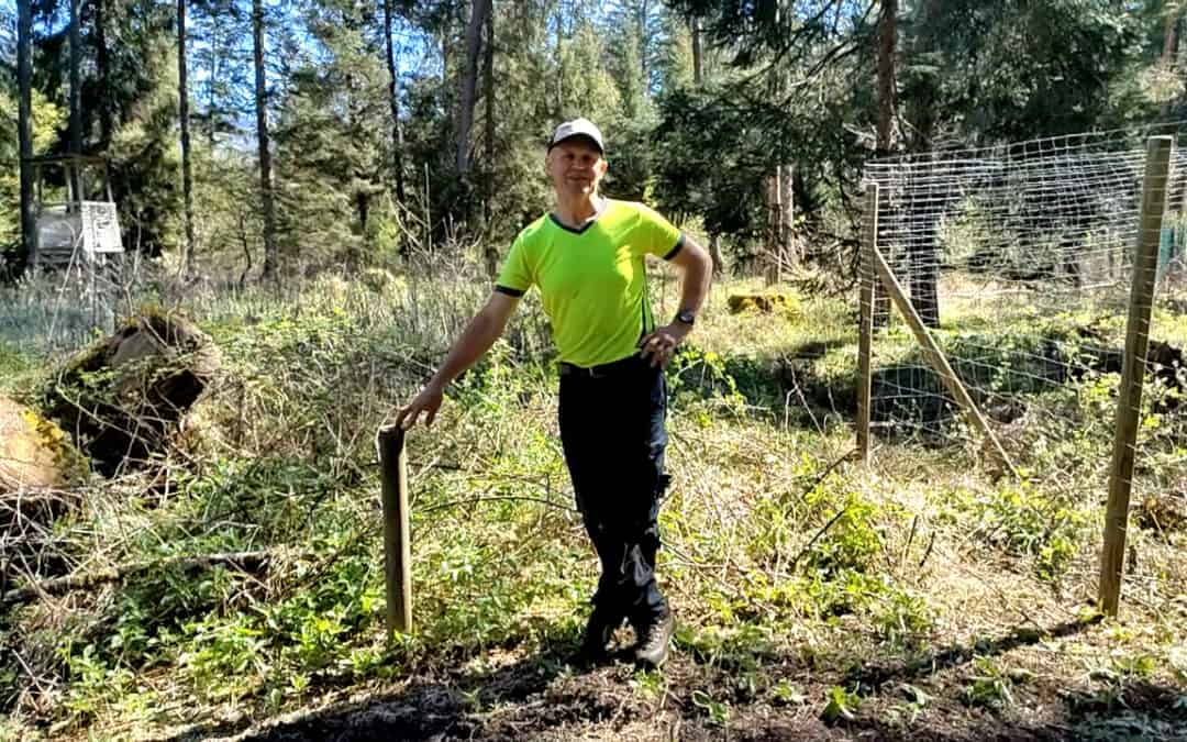 Mit Vergleichsflächen den Wildeinfluss im Wald beobachten