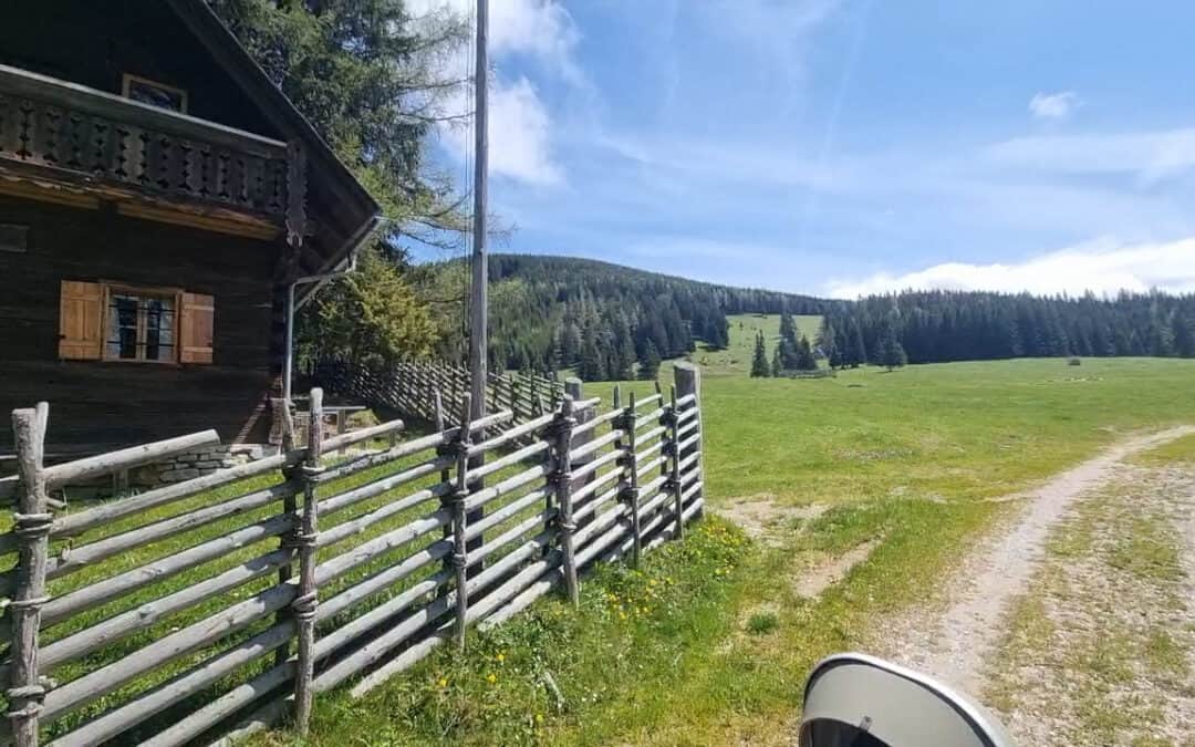 Holz als Langzeitspeicher