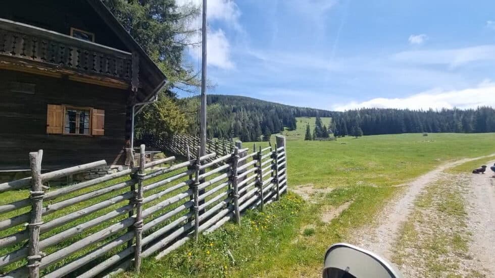 waldgeschichten-video-wald-app-holz-als-langzeitspeicher-von-kohlenstoff-erklaert