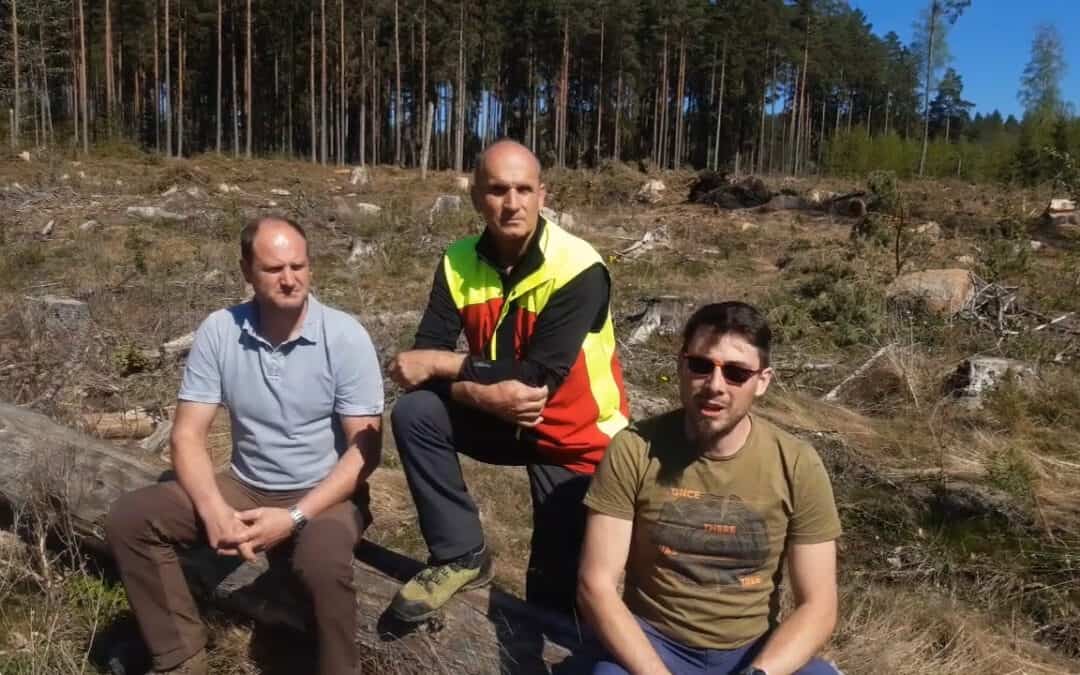 Waldbewirtschaftung & Biodiversität gehen Hand in Hand