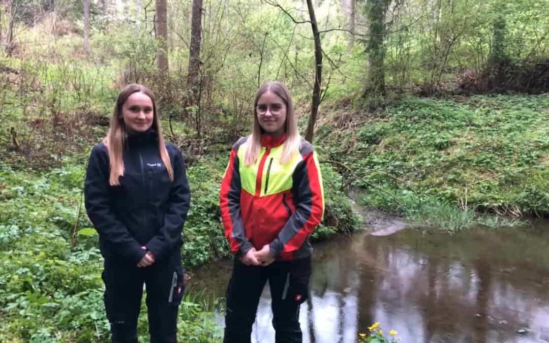 Wasserspeicherung im Wald fördern! Ohne Wasser kein Leben