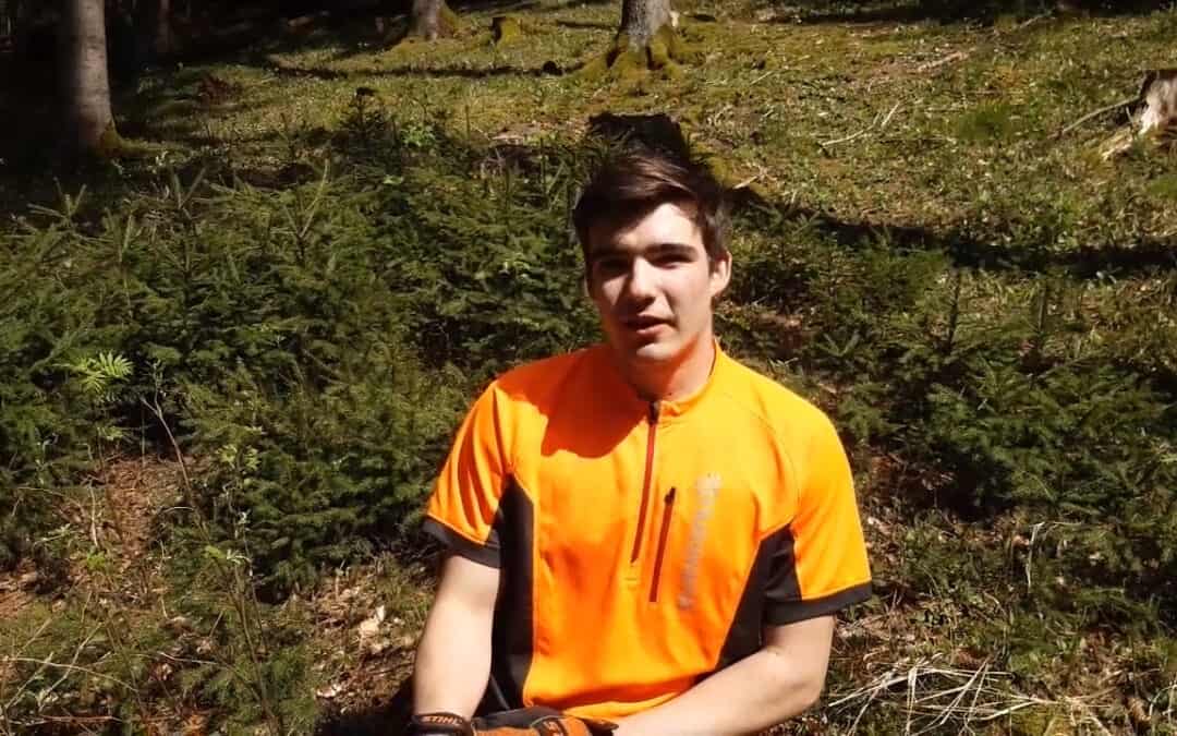 Naturverjüngung: Mit dem arbeiten, was die Natur von selbst hervorbringt