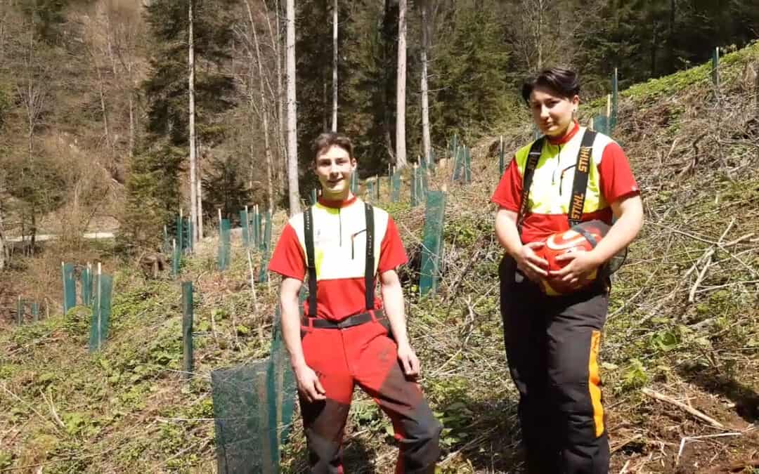 Arbeitsintensive Aufforstung zum Wohle klimafitter Wälder