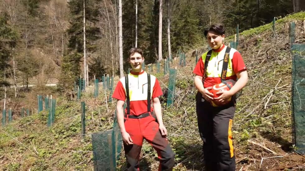 Waldgeschichten-Video-App-Wald-Aufforstung-klimafitter-Waelder-erklaert