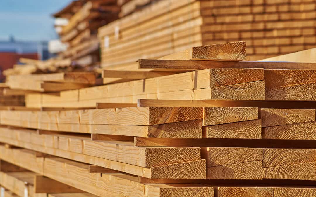 Holz: Ein nachhaltiger Baustein im Klimaschutz