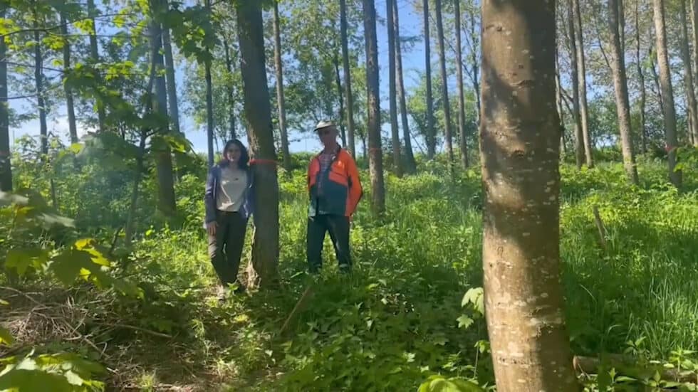 waldgeschichten-video-app-wald-laubmischwald-projekt-erklaert