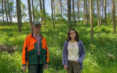 Erfolgreiches Laubmischwaldprojekt in Oberösterreich