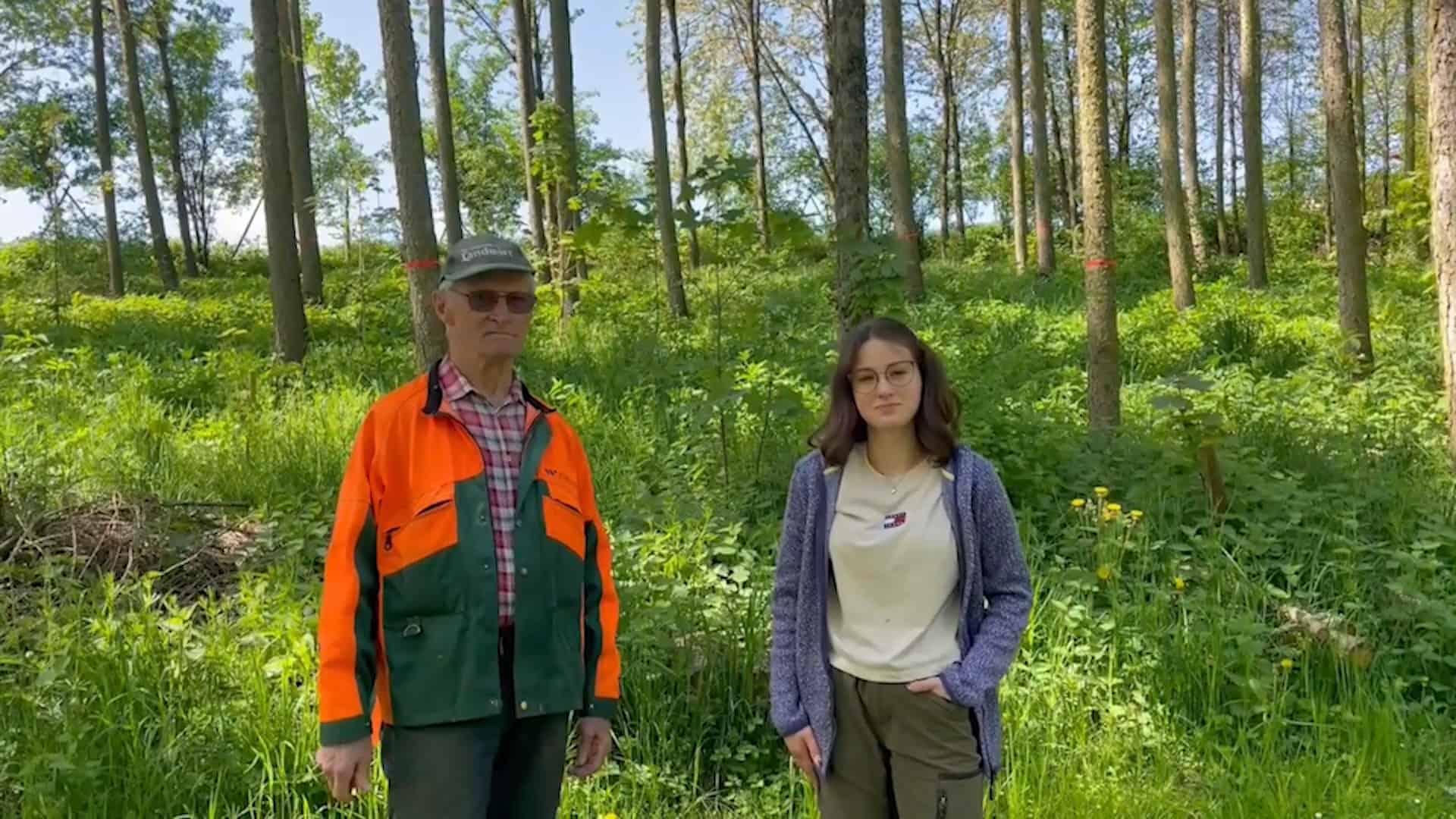 waldgeschichten-video-wald-app-laubmischwaldprojekt-vorgestellt