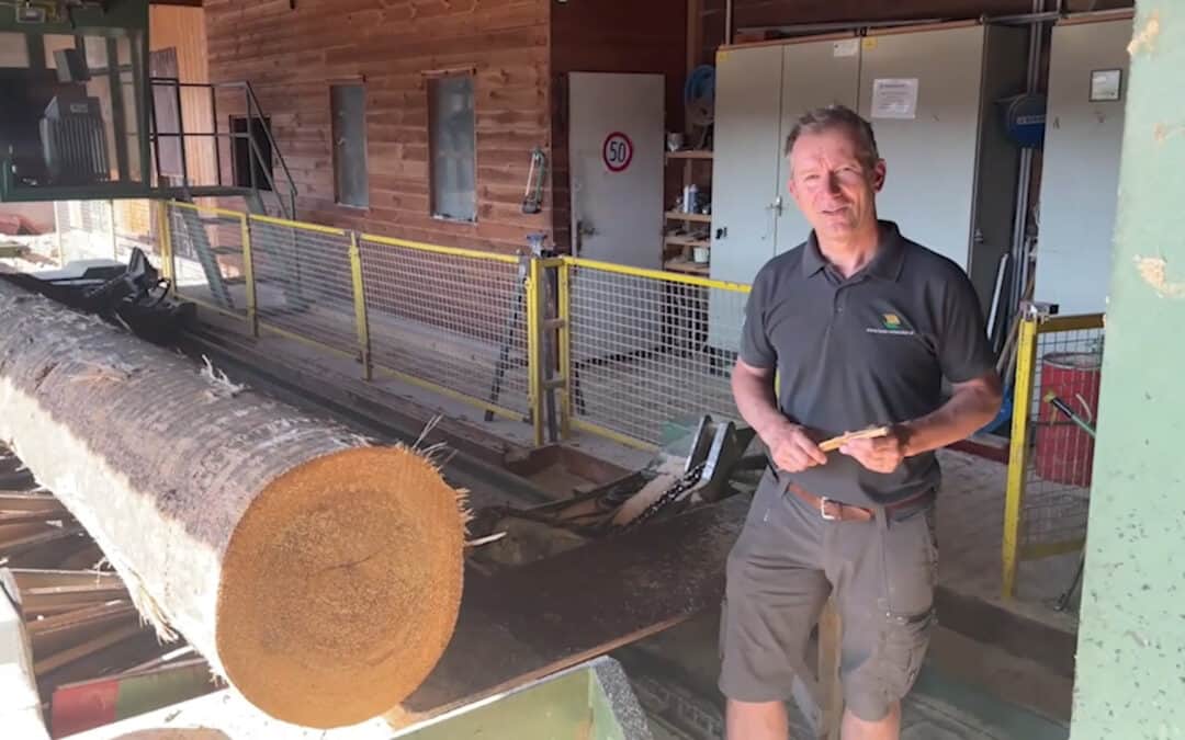 Mit Tannen aus der Region das Klima schützen