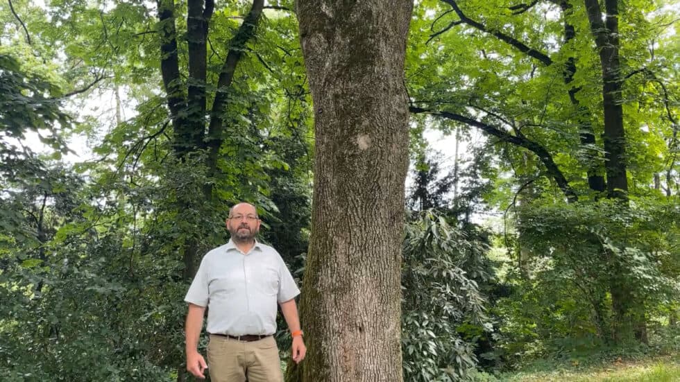 waldgeschichten-video-app-wald-biodiversitaet-im-wald-foerdern-erklaert