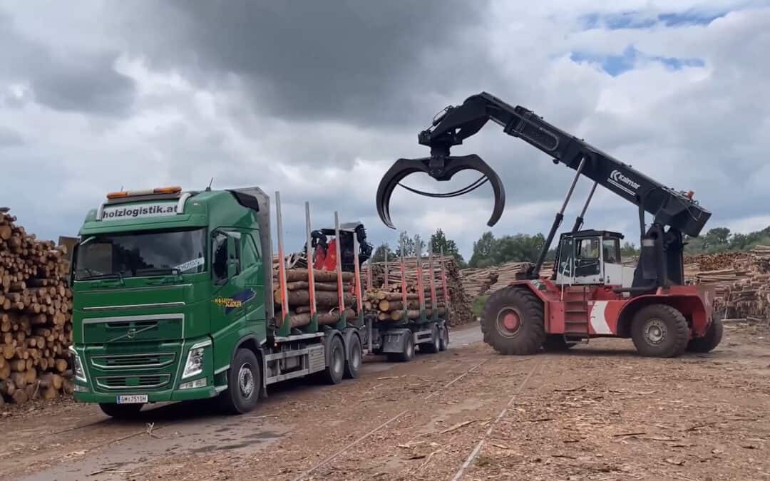 Papier – die nachwachsende Verpackungsalternative