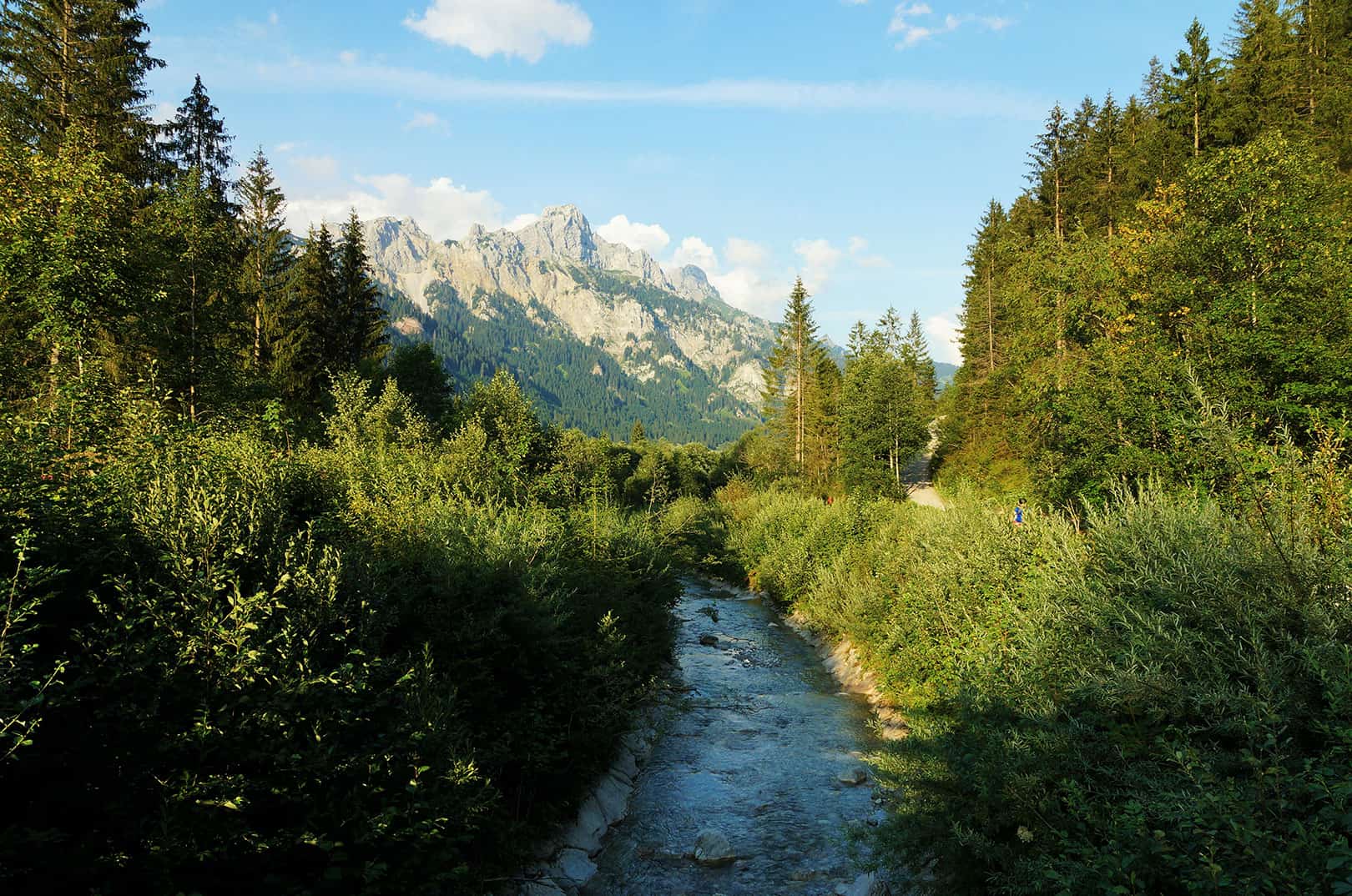 waldgeschichten-hochwasserschutz-durch-waelder-schutzwald