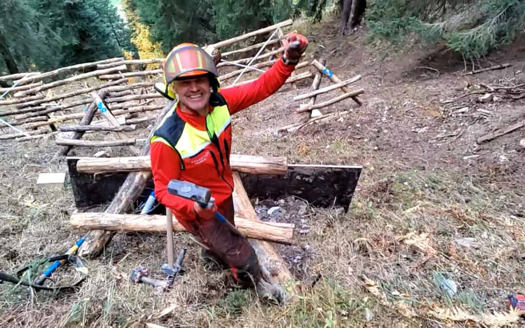 Schutzbauten im Wald für Infrastruktur und Klima