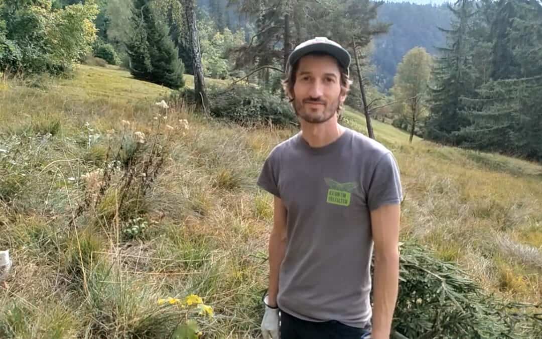 Aktive Bewirtschaftung schafft Lebensräume