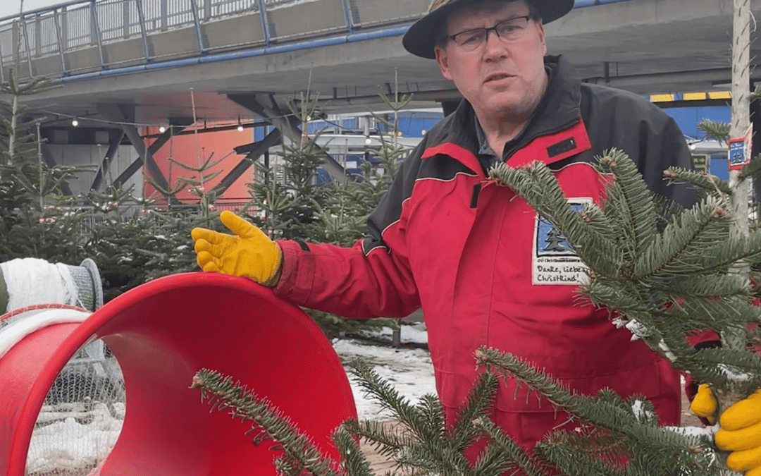 Christbäume & die etwas andere Kanone