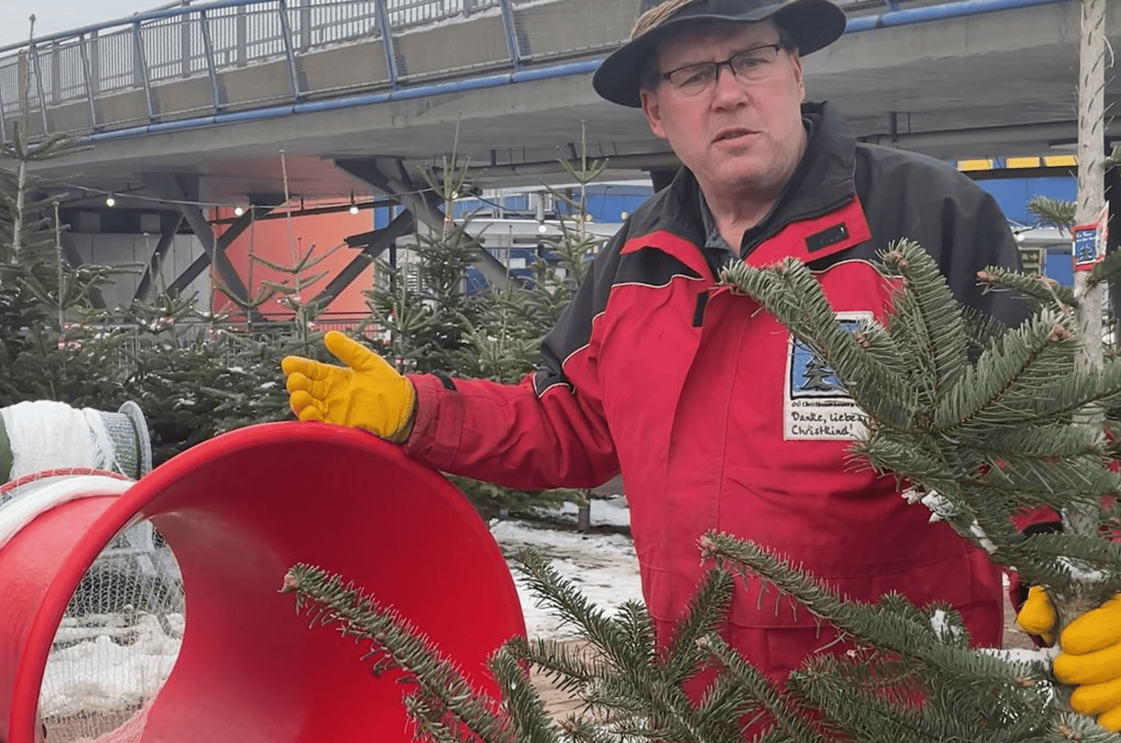 waldgeschichten-artikel-ausflugstipps-in-kaernten-foto-panorama-woerthersee