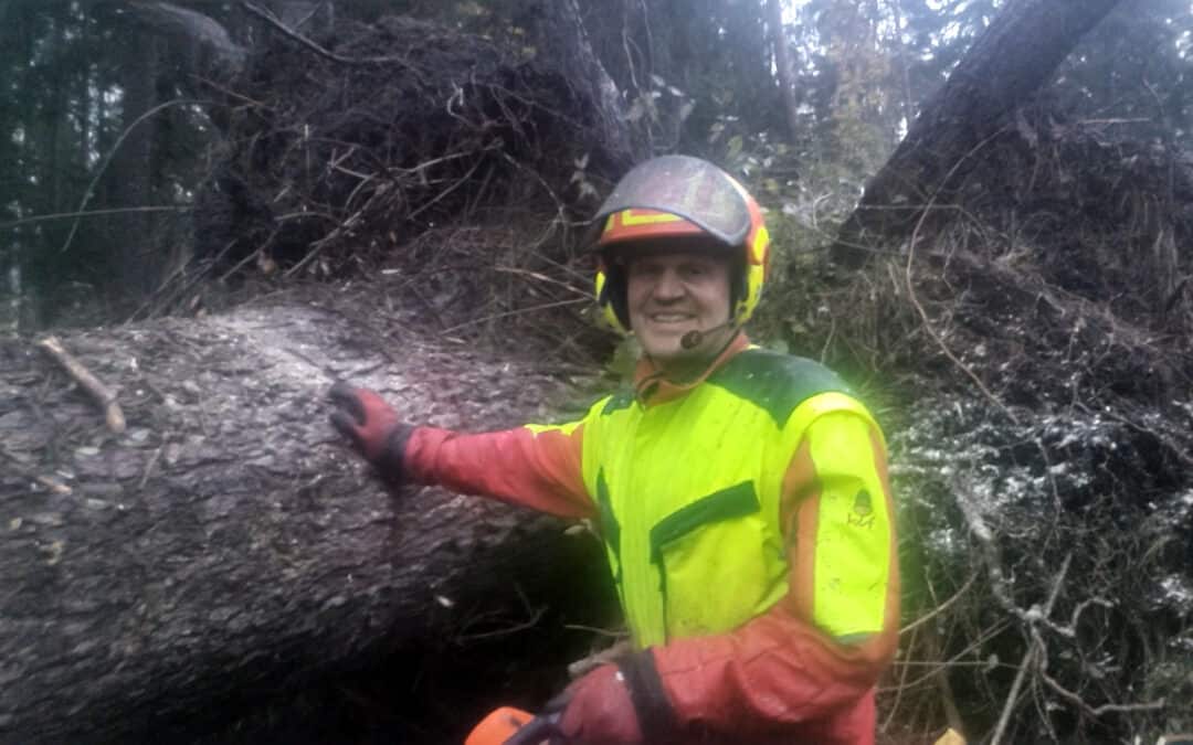 Schadholzaufarbeitung ist nur etwas für Profis