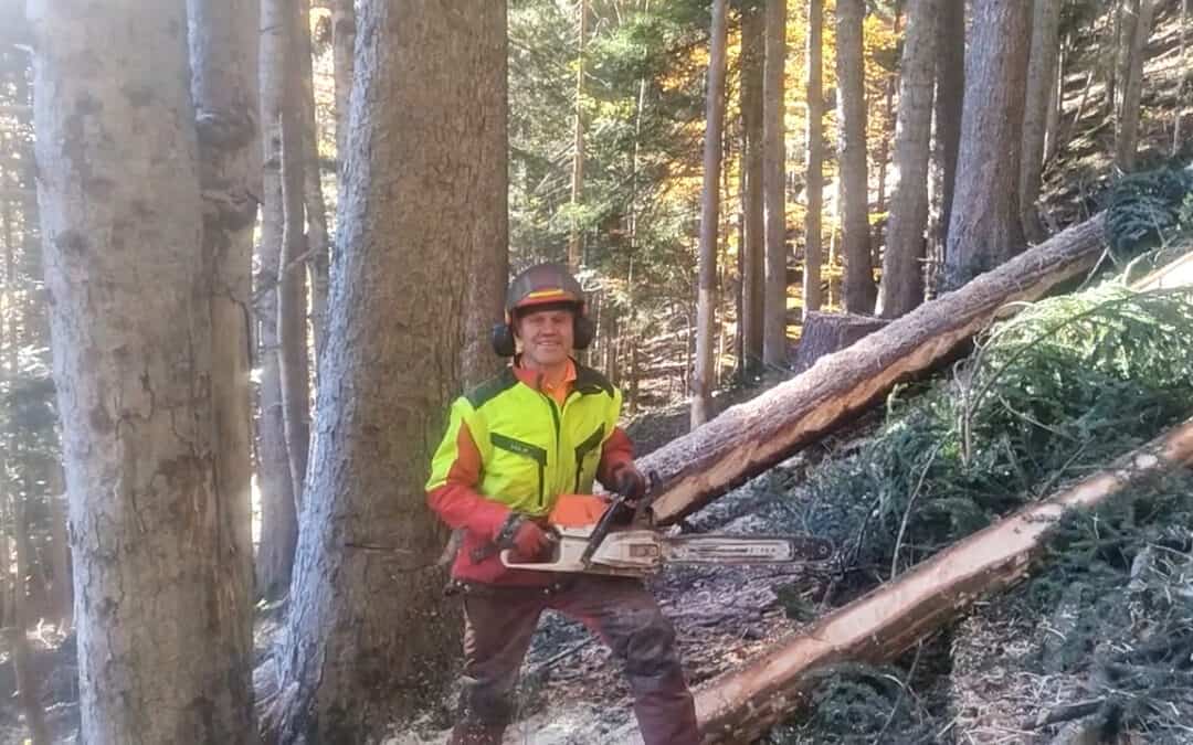 Aus Sturmholz wird ein Biodiversitätshotspot