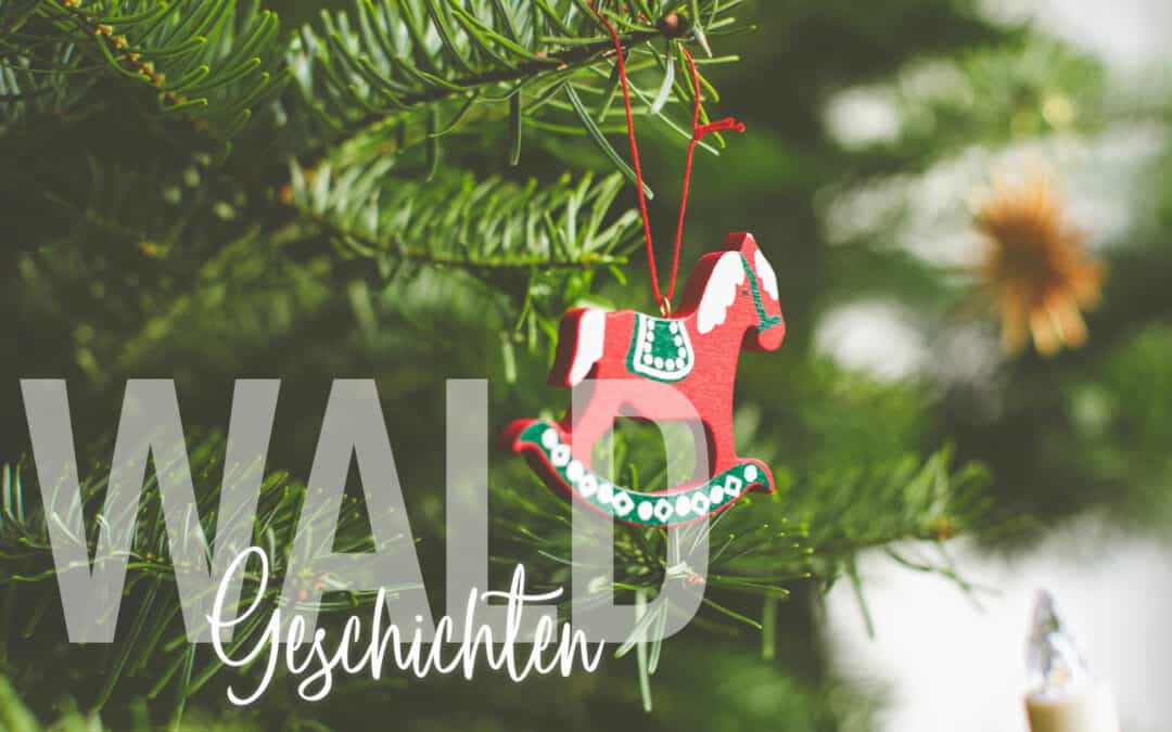 Alles über Weihnachts- bzw. Christbäume