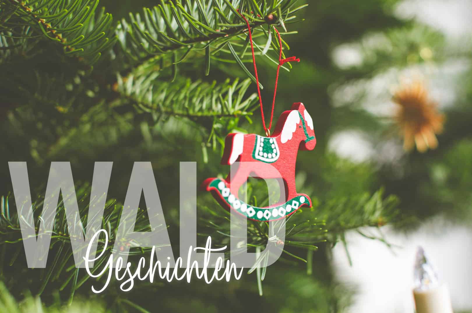 Waldgeschichten-Weihnachtsbaeume-Christbaeume