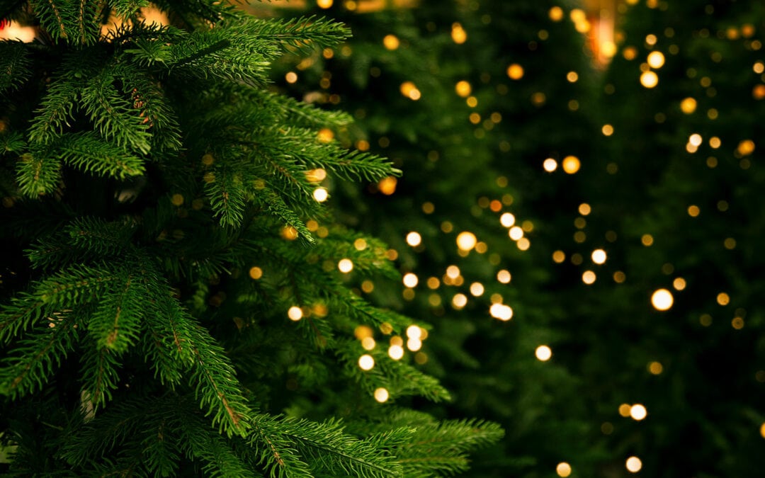 Die Geschichte des Weihnachtsbaumes