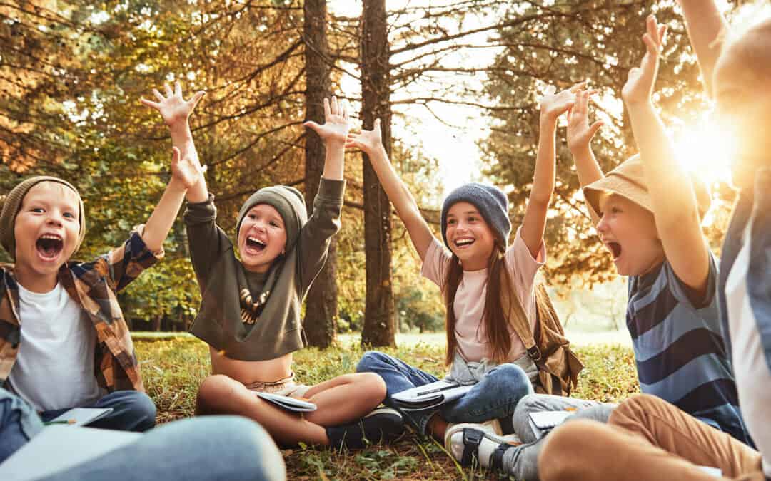 Wald 3D: Draußen, Drinnen, Digital