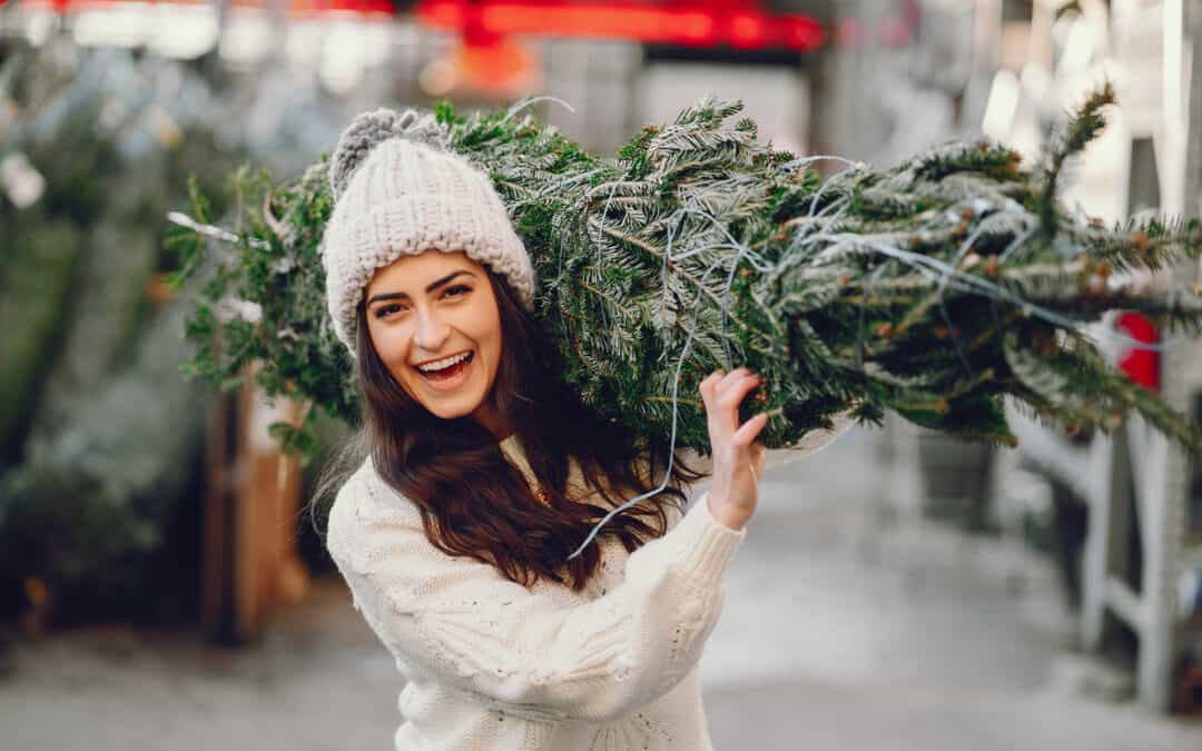 Echter Baum vs. Plastikbaum: Welcher Weihnachtsbaum ist besser?