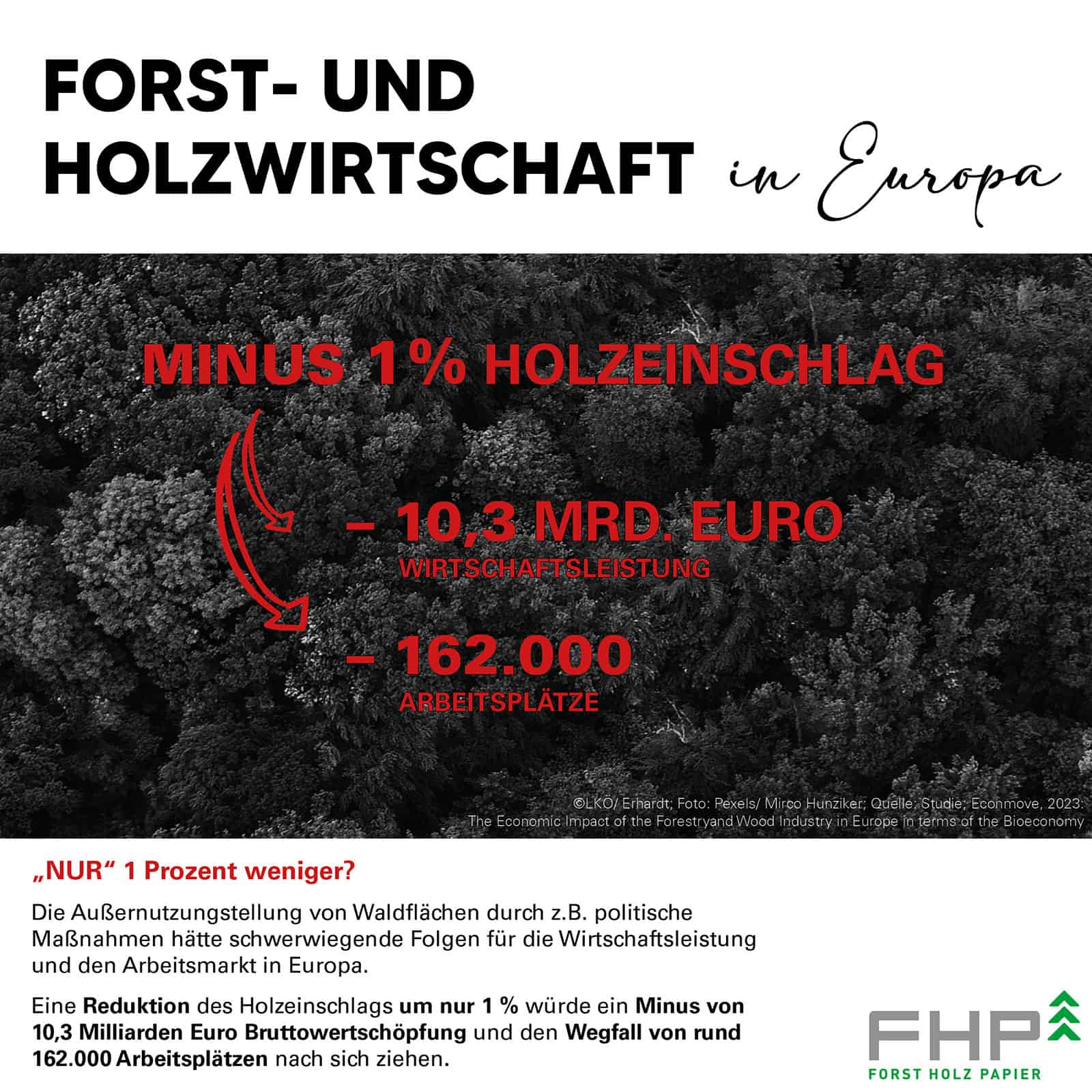 waldgeschichten-Forst- und Holzwirtschaft – Rolle für die Wertschöpfung in Europa enorm