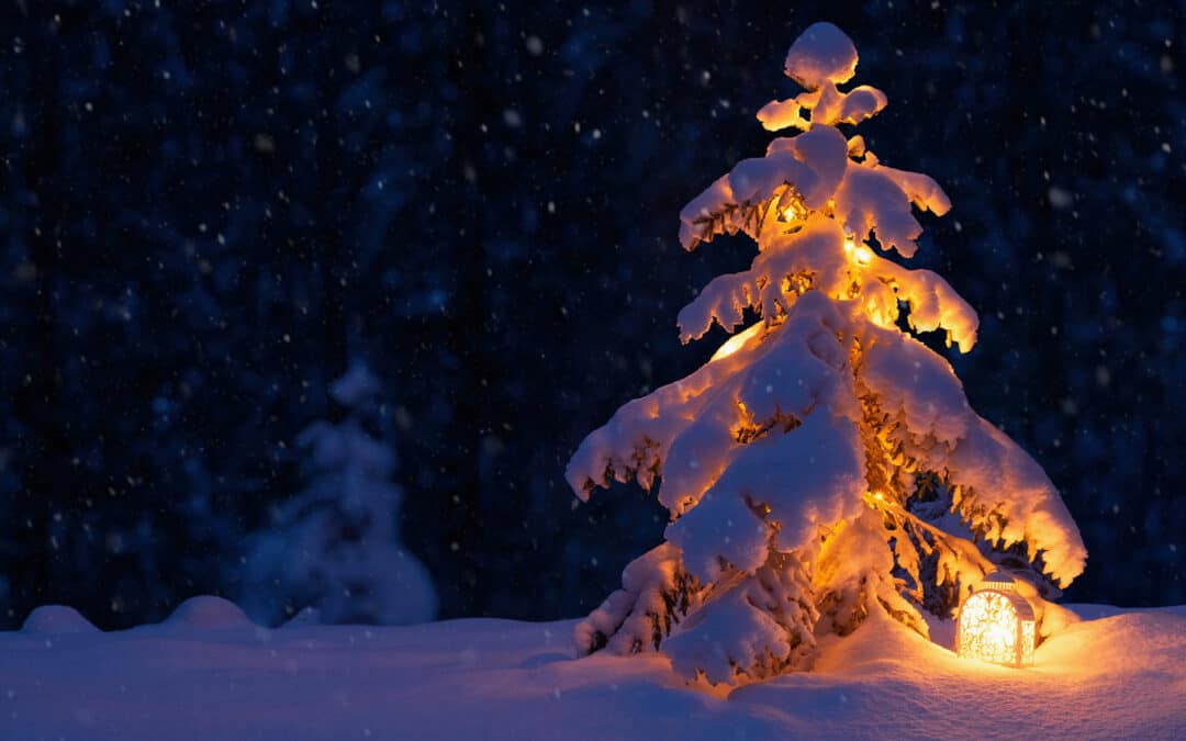 Frohe Weihnachten aus dem Winterwald