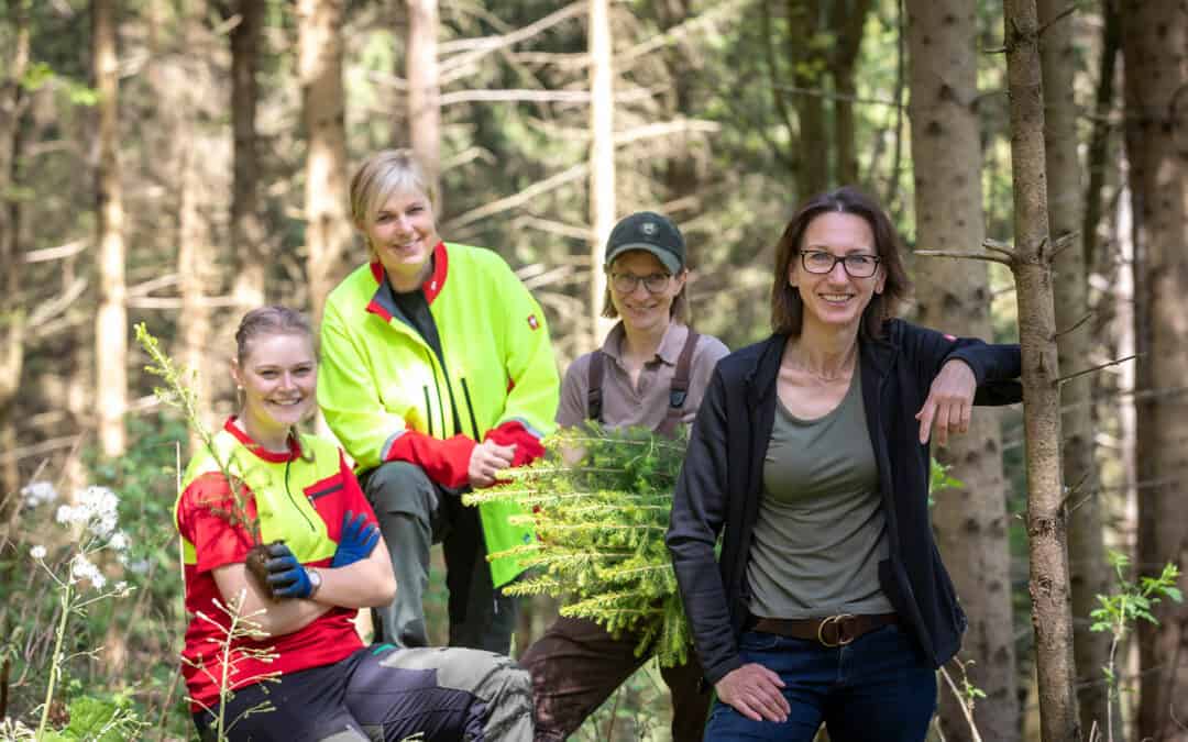 Mehr Frauen in die Forstwirtschaft