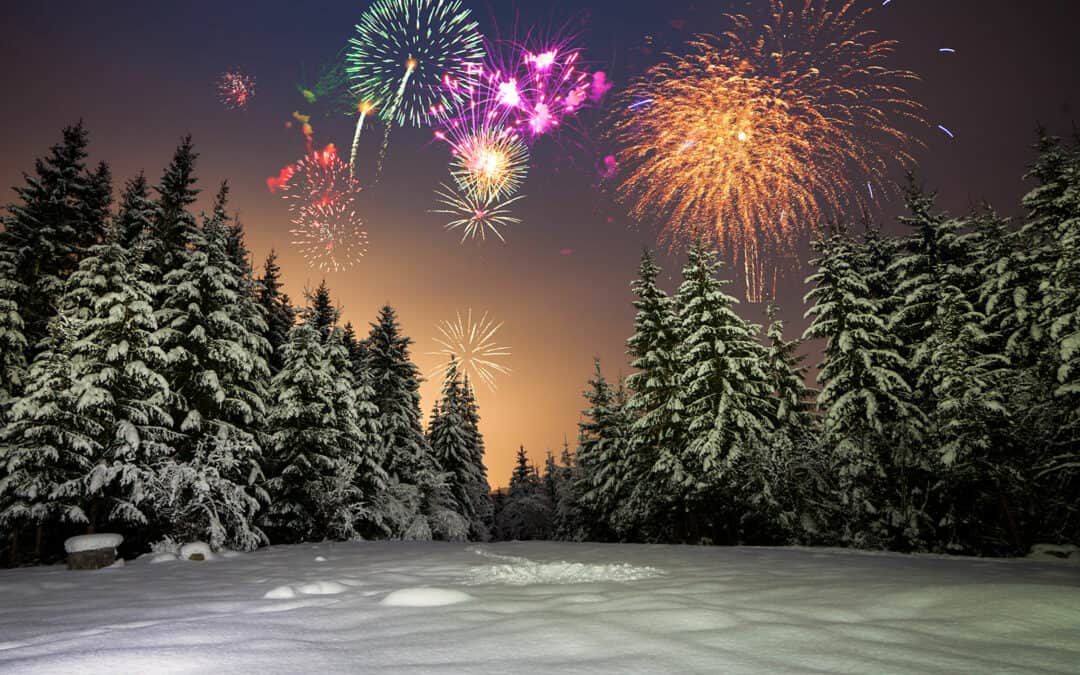 Silvesterfeuerwerk: Gefahr für Waldtiere