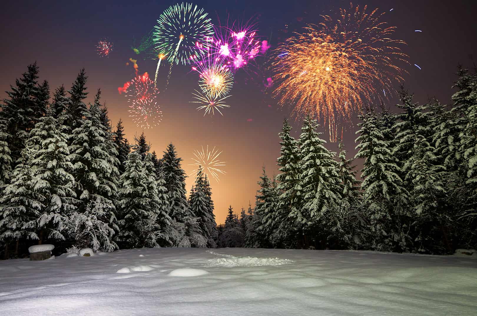 waldgeschichten-silvester-feuerwerk-waldtiere-gefahr