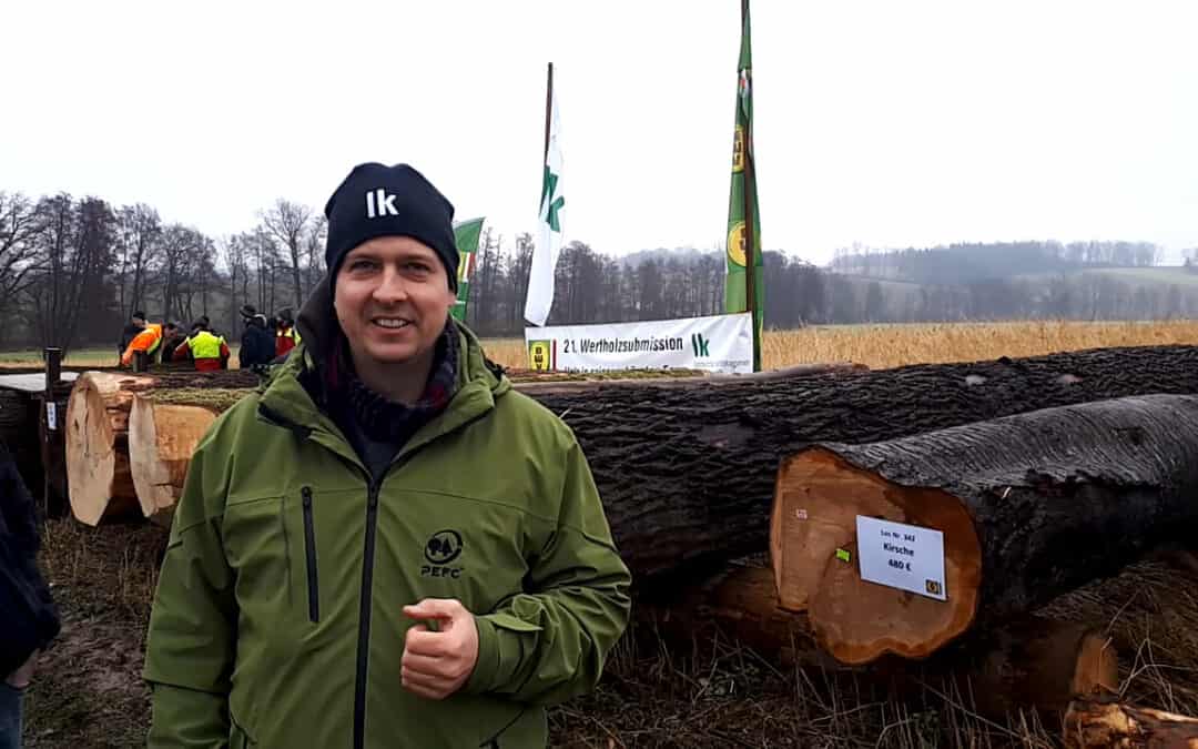 Wertvolles Laubholz an einem Ort