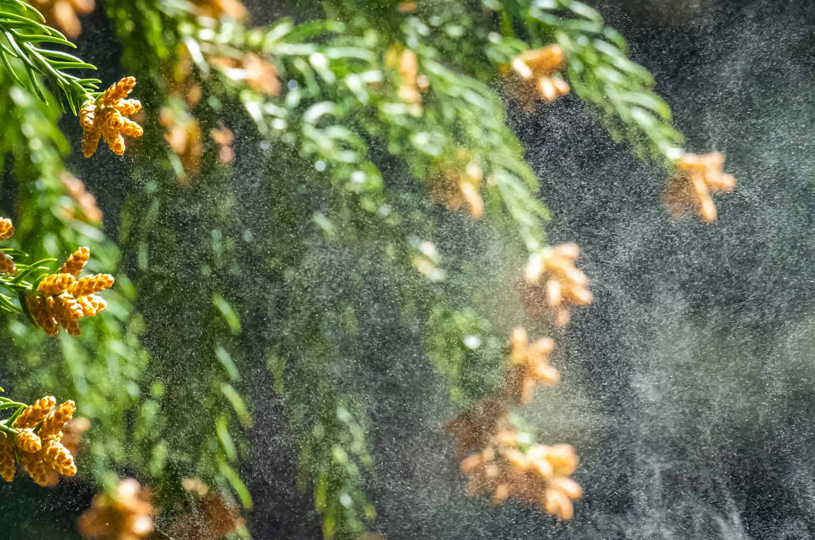 waldgeschichten-artikel-ausflugstipps-in-kaernten-foto-panorama-woerthersee