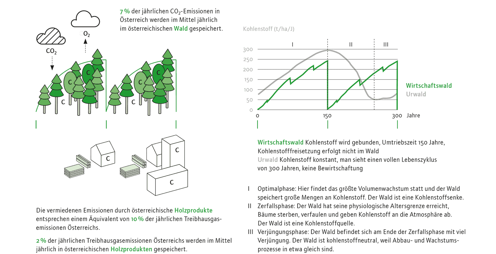 waldgeschichten-grafik-zweiter-wald-aus-holzhaeusern