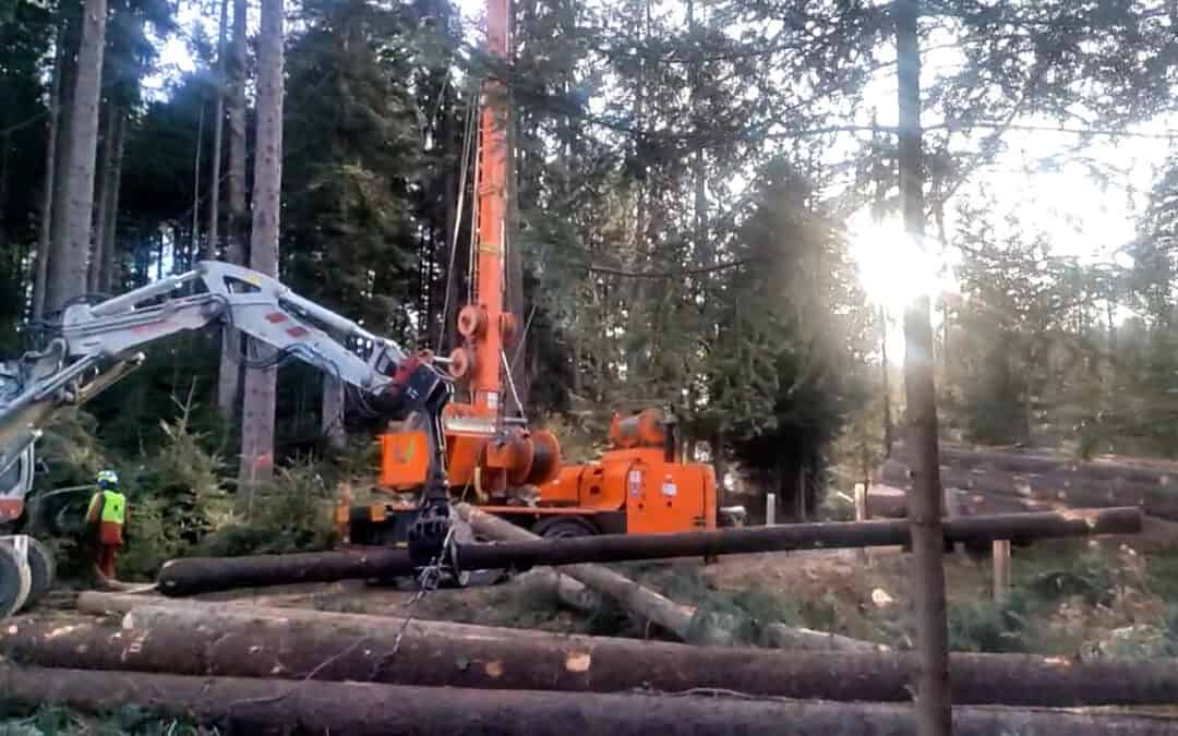 Kippmastseilgerät, die Seilbahn für den Wald