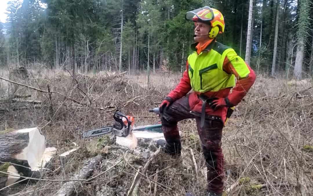 Waldumwandlung erfordert Geduld
