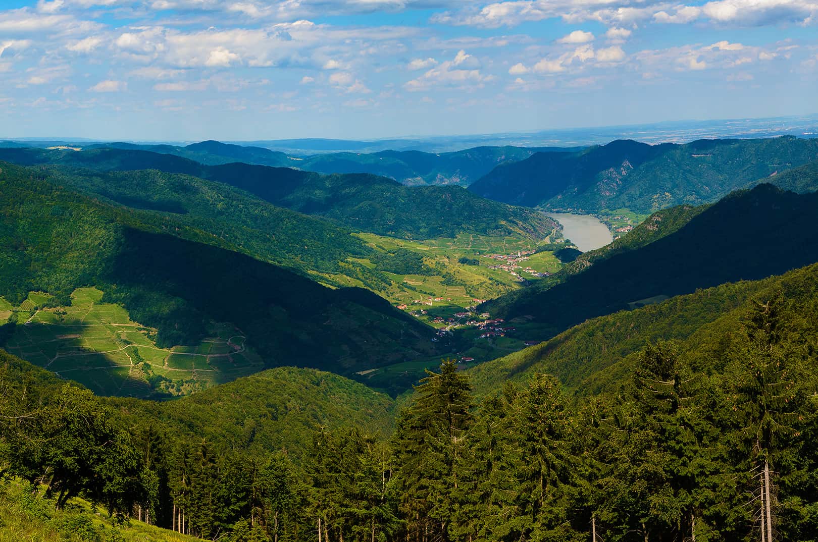 waldgeschichten-artikel-ausflugstipps-in-niederoesterreich-foto-wachaupanorama-vom-jauerling