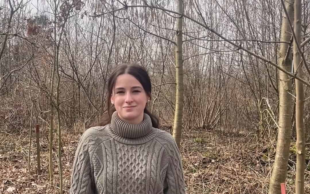 Projekt: Klimafitte Waldgemeinde