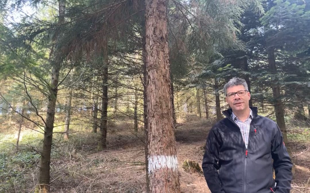 Klimafitte Waldbewirtschaftung: Der Jugend Platz geben