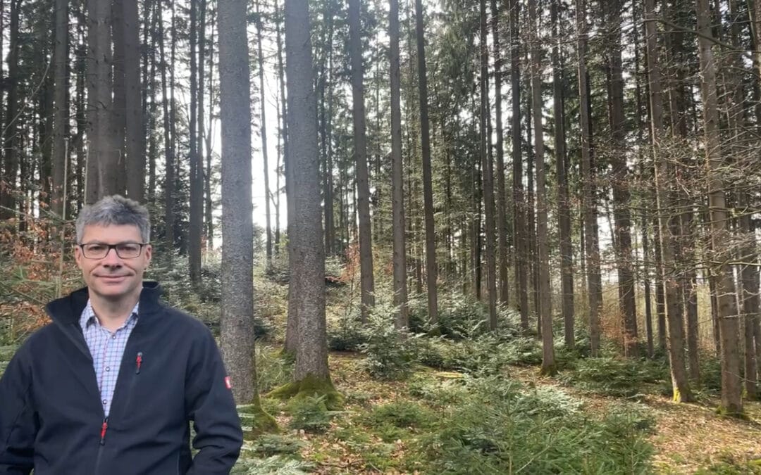 Licht und Jagd als Garant für die Naturverjüngung