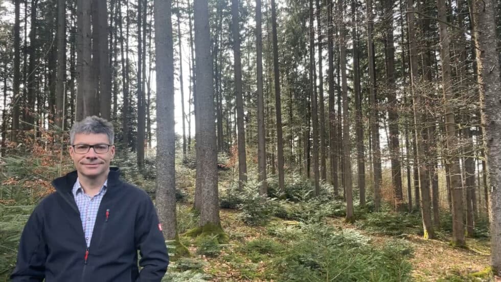 waldgeschichten-app-video-naturverjuengung-erklaert