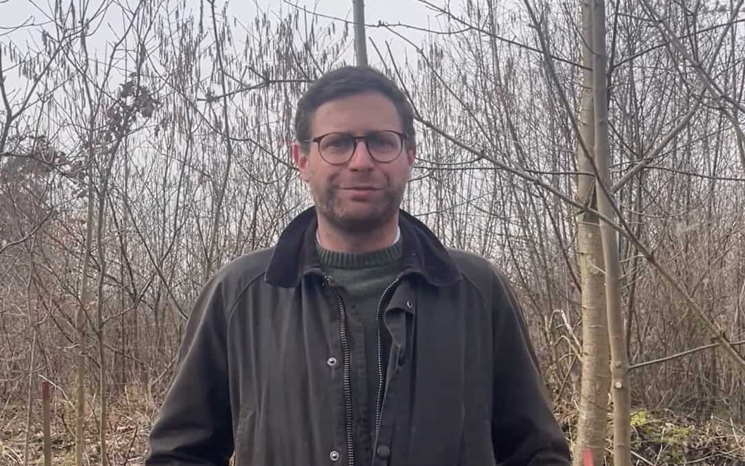 Wilhering, eine klimafitte Waldgemeinde