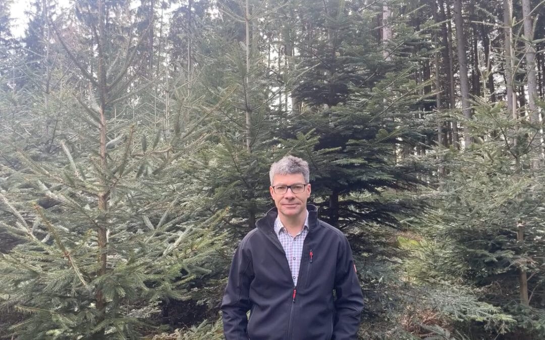 Gewinner des Projektes “Klimafitte Waldgemeinde”