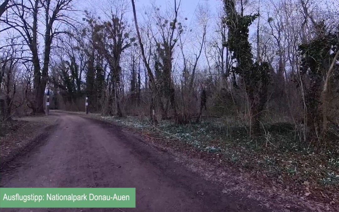 Ausflugstipp Nationalpark Donau-Auen