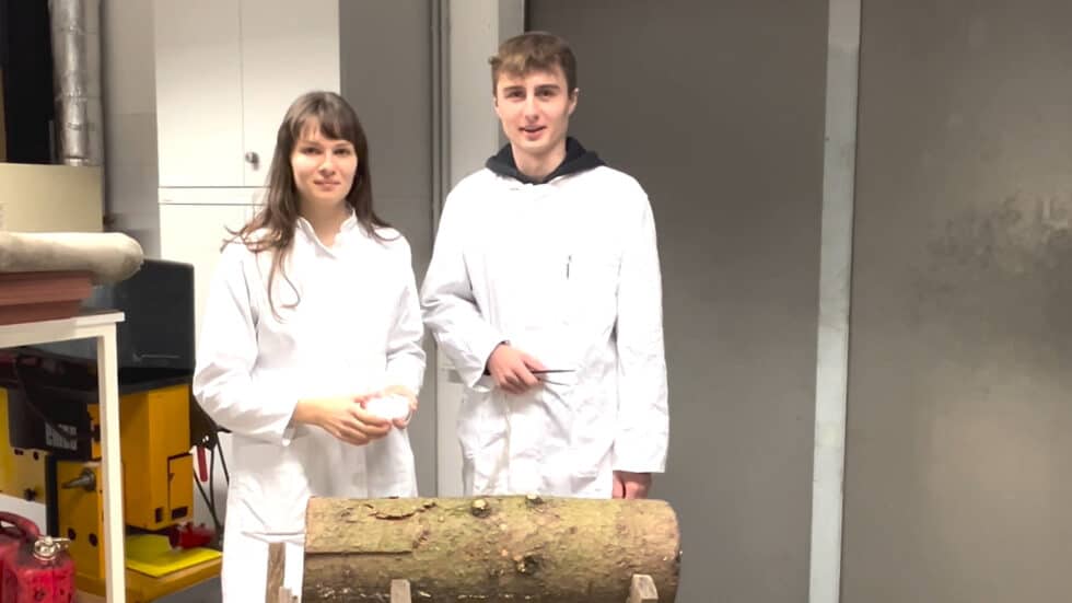 waldgeschichten-app-video-auswirkungen-borkenkaefer-buchdrucker-erklaert