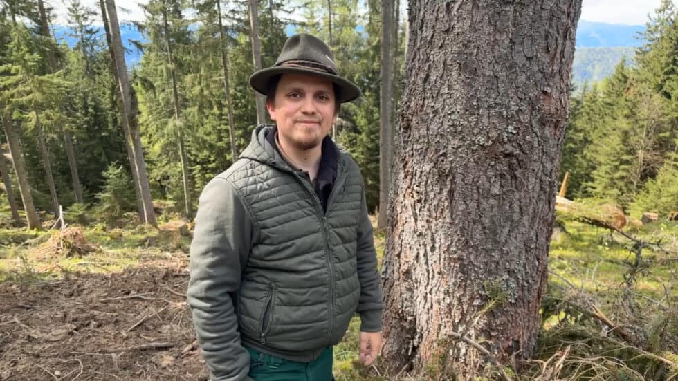 waldgeschichten-app-video-wald-geschwaecht-wegen-klimawandel-fichte-borkenkaefer