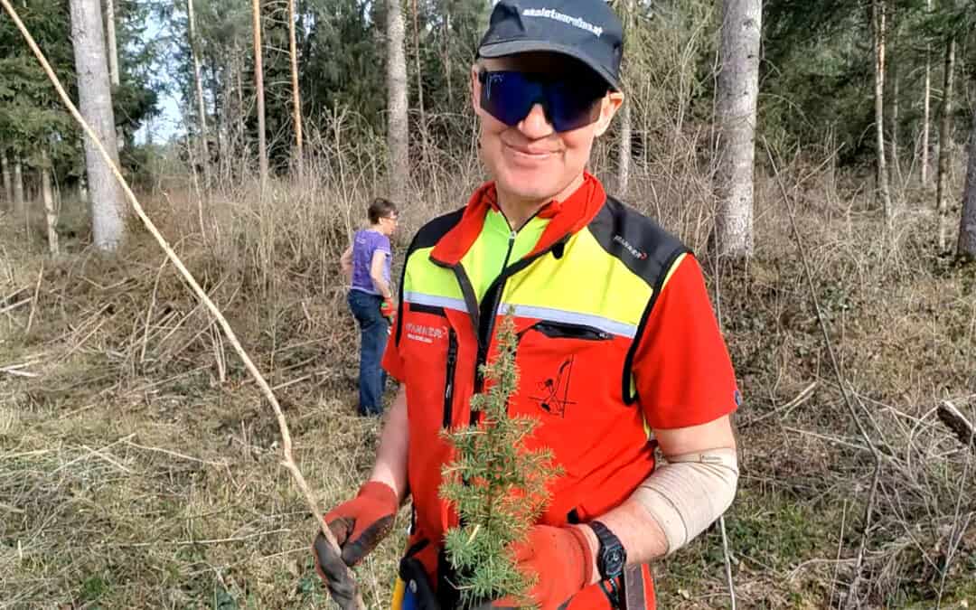 Baumartenreichtum – wichtiges Element für den klimafitten Wald