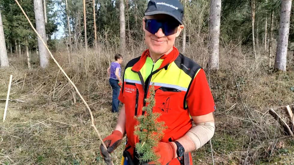waldgeschichten-app-video-baumartenreichtum-fuer-den-klimafitten-wald-erklaert