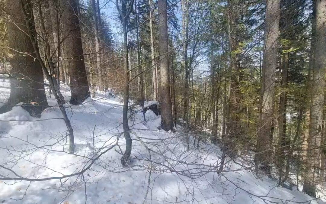 Der April macht was er will